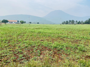 Property for sale in Kadur, Chikmagalur
