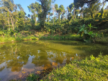 Property for sale in Sakleshpur, Hassan
