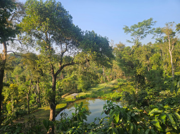 Property for sale in Sakleshpur, Hassan