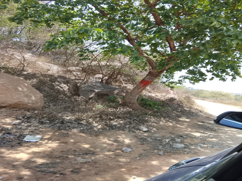 10 Acre Agricultural/Farm Land For Sale In Sakleshpur, Hassan