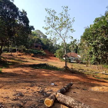 8.5 Acre Agricultural/Farm Land for Sale in Sulya, Dakshina Kannada