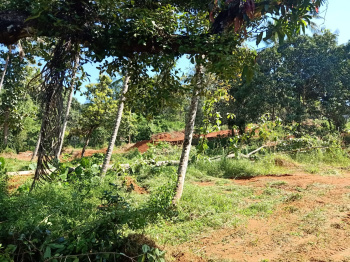 Property for sale in Sulya, Dakshin Kannad