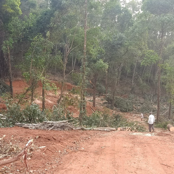 Property for sale in Sulya, Dakshin Kannad