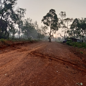 Property for sale in Sulya, Dakshin Kannad