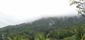 8 Acre Agricultural/Farm Land for Sale in Ankola, Uttara Kannada