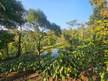 Property for sale in Mulbagal, Kolar