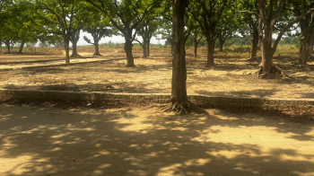 Property for sale in Jhalwa, Allahabad