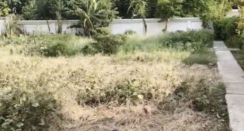 Commercial Lands /Inst. Land for Rent in Mumford Ganj, Prayagraj (3100 Sq.ft.)