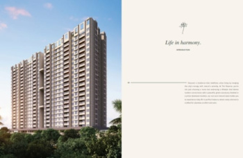 Lohia Jain Malpani The Reverse