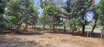 Property for sale in Gorai, Mumbai