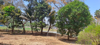 Property for sale in Gorai, Mumbai