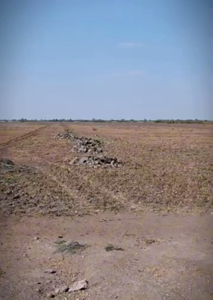 164 Sq. Yards Residential Plot For Sale In Dholera, Ahmedabad