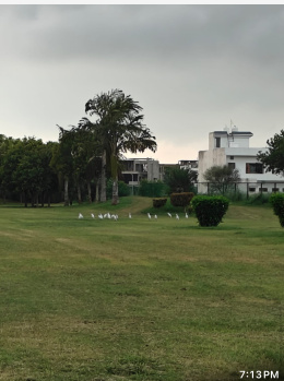Property for sale in Sector 89, Mohali