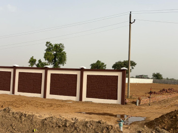 Agricultural/Farm Land for Sale in Patauda, Jhajjar (605 Sq. Yards)