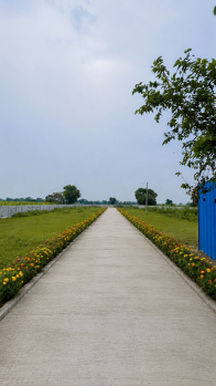 On road plot near Yamuna expressway and Vrindavan