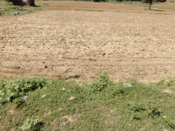 Agricultural/Farm Land for Sale in Chunar, Mirzapur (10 Bigha)