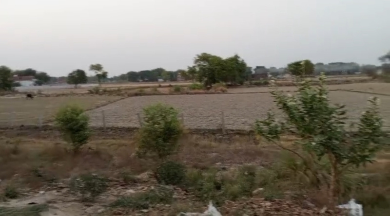 Residential Plot For Sale In Ramnagar, Varanasi (1360 Sq.ft.)