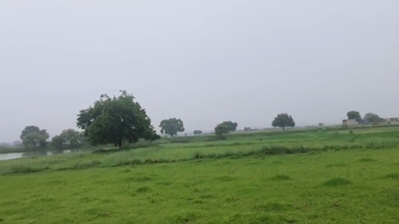 Agricultural/Farm Land For Sale In Chakia, Chandauli (10 Sq.ft.)