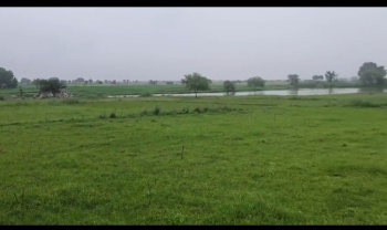 Property for sale in Chakia, Chandauli