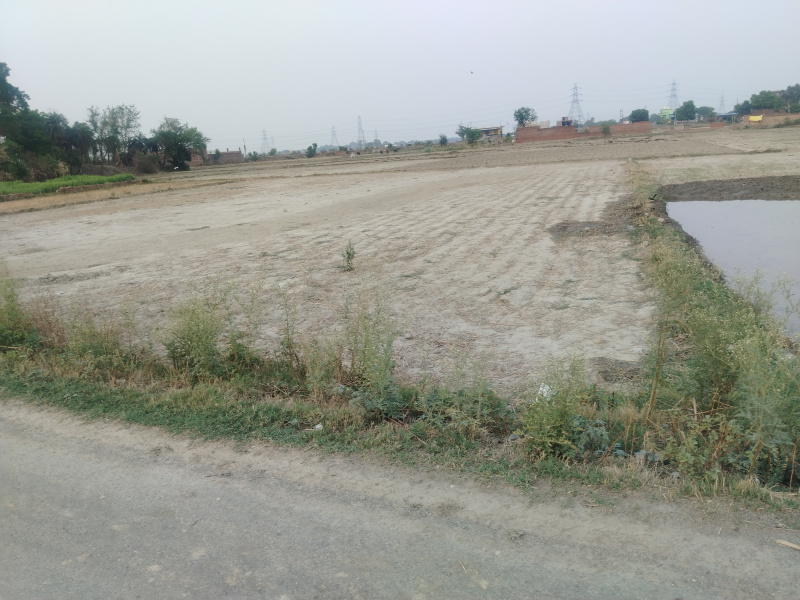 15000 Sq.ft. Commercial Lands /Inst. Land for Sale in Ramnagar, Varanasi