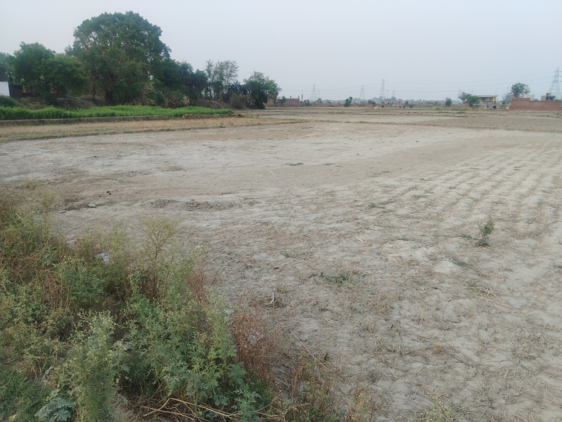 Property for sale in Ramnagar, Varanasi