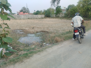 Agricultural/Farm Land for Sale in Ramnagar, Varanasi (136000 Sq.ft.)