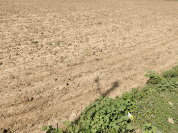 Residential Plot for Sale in Lanka, Varanasi (1500 Sq.ft.)