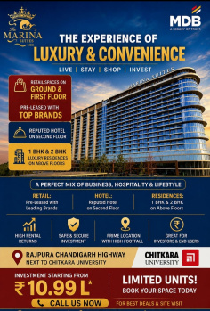 1 BHK Flats & Apartments for Sale in Banur, Mohali (690 Sq.ft.)