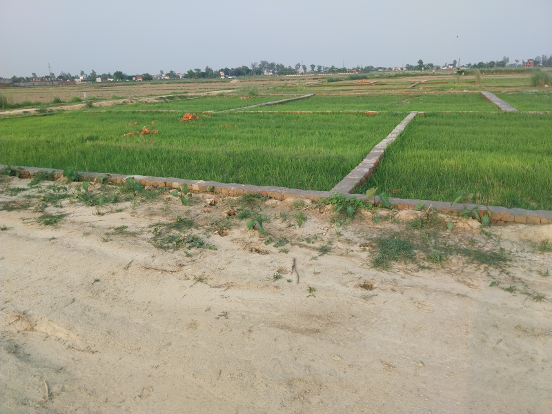 Sonbarsa Bazar NH.28 Se 100mtr Ki Duri Pe