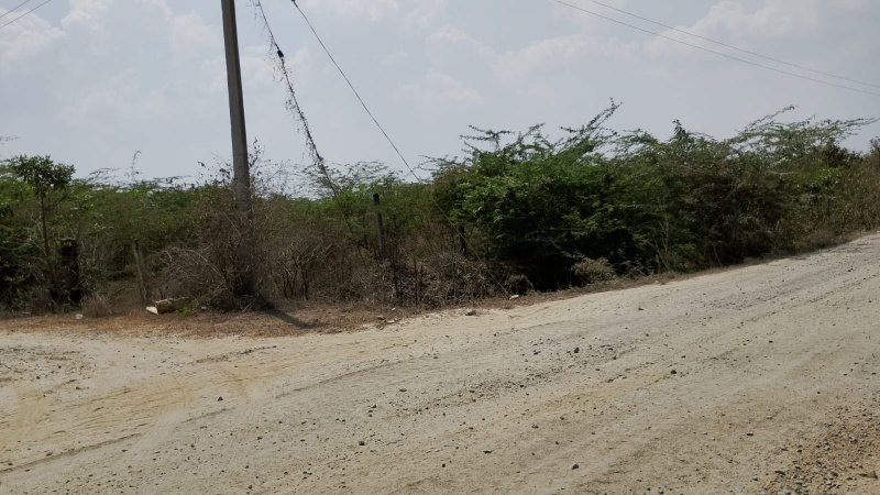 Residential Plot For Sale In Cheyyar, Tiruvannamalai (40 Cent)