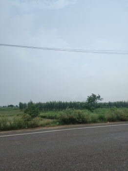 Agricultural/Farm Land for Sale in Badli, Jhajjar (4.25 Acre)