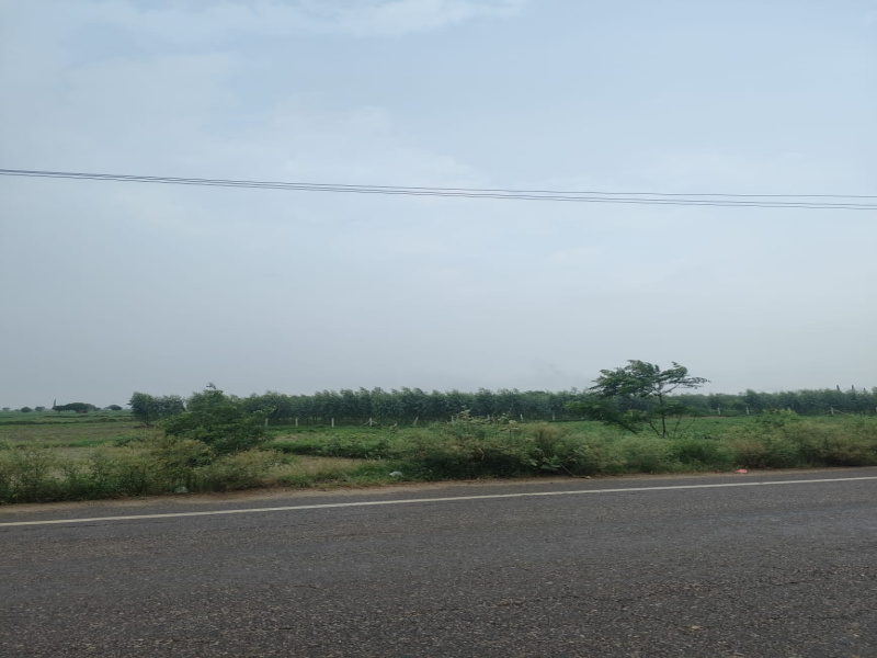 Agricultural/Farm Land For Sale In Badli, Jhajjar (4.25 Acre)