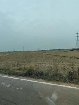 Agricultural/Farm Land for Sale in Badli, Jhajjar (3800 Sq. Yards)