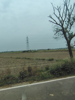 Agricultural/Farm Land for Sale in Badli, Jhajjar (3.75 Acre)
