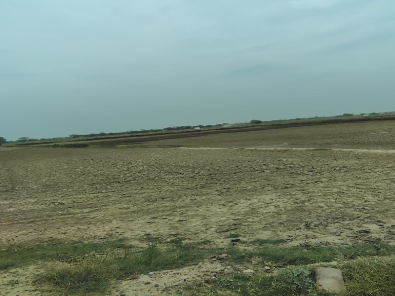 Residential Plot For Sale In Sohna, Gurgaon (40 Acre)