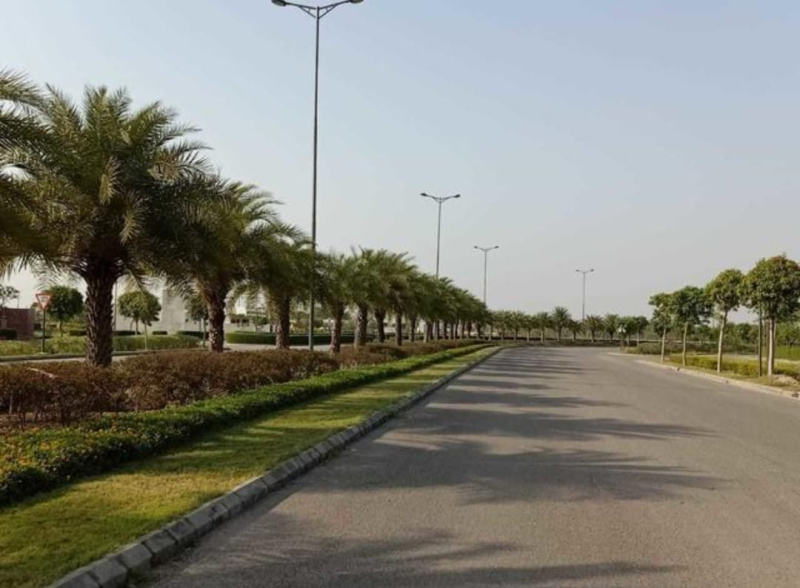 Residential Plot For Sale In Sector 63, Gurgaon (267 Sq. Yards)