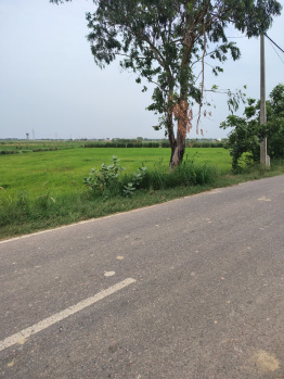 Agricultural/Farm Land for Sale in Sohna Road, Gurgaon (1 Acre)