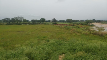 Agricultural/Farm Land for Sale in Sohna Road, Gurgaon (4 Acre)
