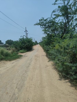 Agricultural/Farm Land for Sale in Sohna Road, Gurgaon (4 Acre)
