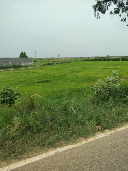 Agricultural/Farm Land for Sale in Sohna Road, Gurgaon (4 Acre)