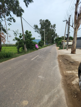 Agricultural/Farm Land for Sale in Badli, Jhajjar (2 Ares)