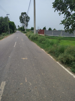 Residential Plot for Sale in Badli, Jhajjar (2 Acre)