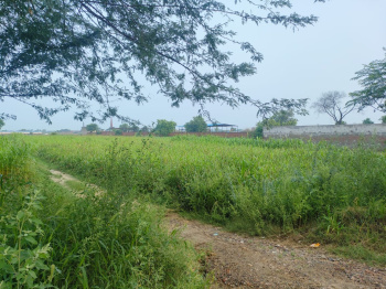 Agricultural/Farm Land for Sale in Badli, Jhajjar (1000 Sq. Yards)