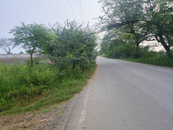 Agricultural/Farm Land for Sale in Badli, Jhajjar (1500 Sq. Yards)
