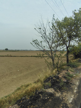 Property for sale in Sector 22, Rewari