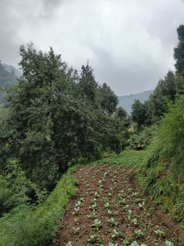 Property for sale in Dhari, Nainital