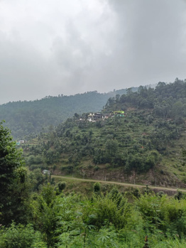 Mountain view best property in nainital
