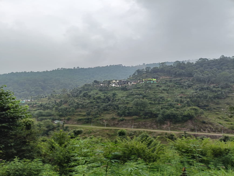 Mountain View Best Property In Nainital