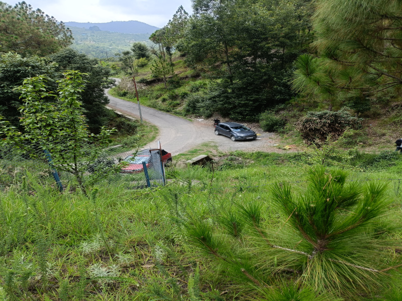 Road Connectivity Awesome View