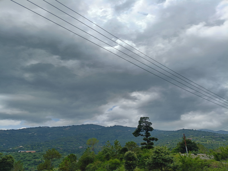 Road Connectivity Mountain View